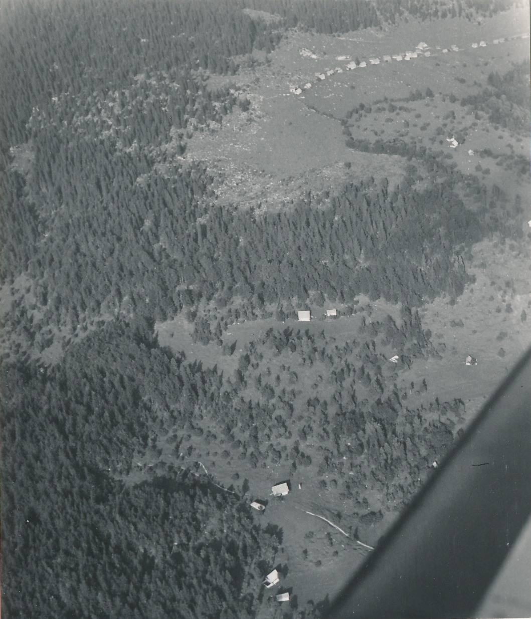 eika image